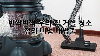 ✨ 반짝반짝 우리 집! 거실 청소 & 정리 비법 대방출 🏡